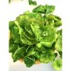 Dried lettuce homemade dried lettuce 50g*1 pack 50 g