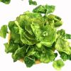 Dried lettuce, farmer's homemade dried lettuce, dehydrated vegetables, green bamboo shoots, bamboo shoots, crispy 100g*1 pack 100 g