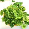 Dried lettuce, homemade dried lettuce, local specialties, dehydrated vegetables, green bamboo shoots, bamboo shoots, crispy 100g*1 bag 100 g