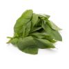 Basil 0.75 oz