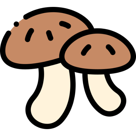 Picture for category Mushrooms